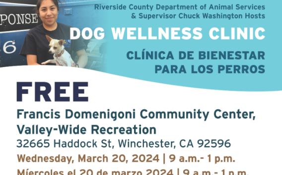 MARCH 20 CLINIC
